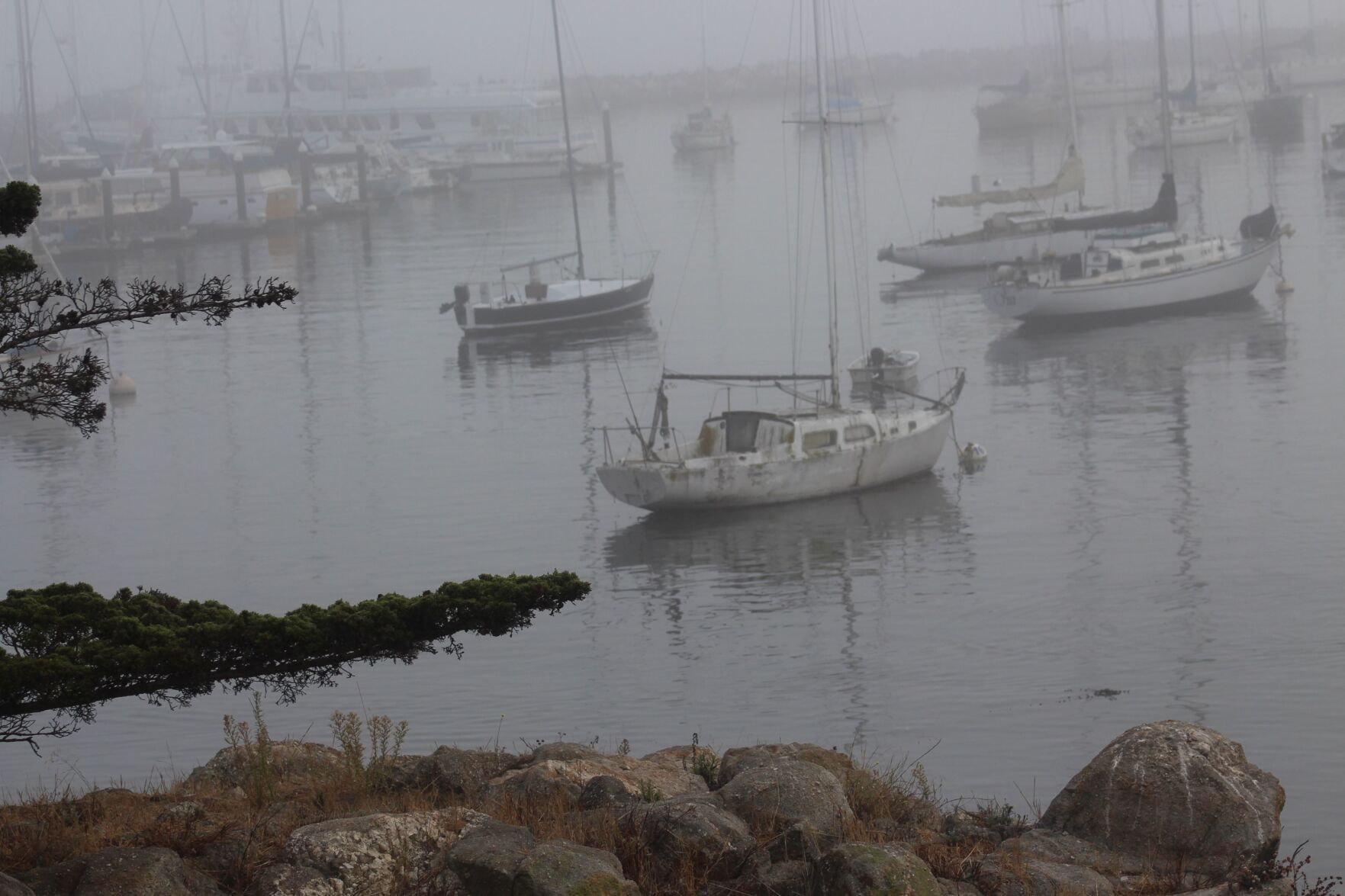 Foggy Monterey Bay